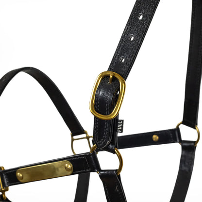 Syd Hill PVC Halter with Nameplate