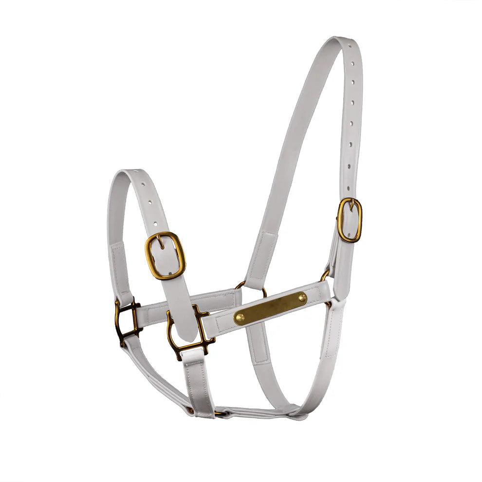 Syd Hill PVC Halter with Nameplate