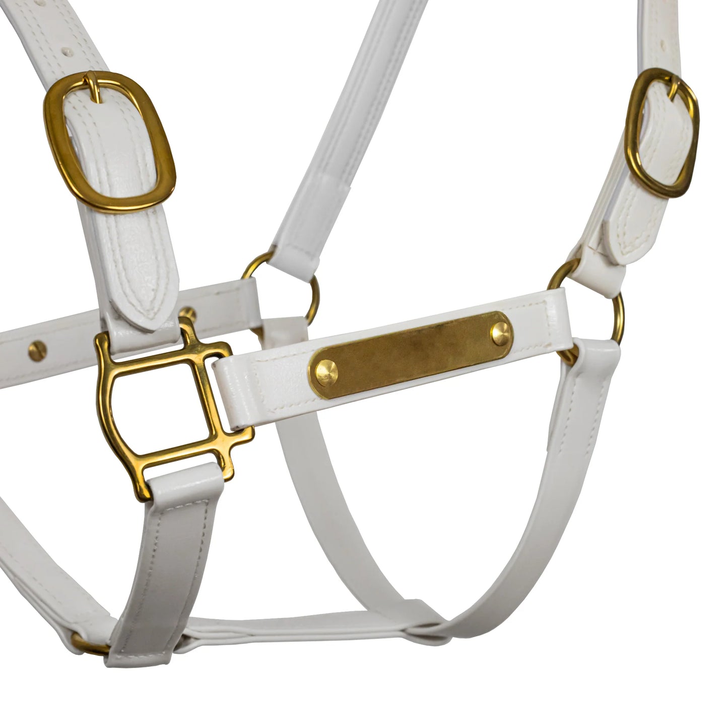 Syd Hill PVC Halter with Nameplate