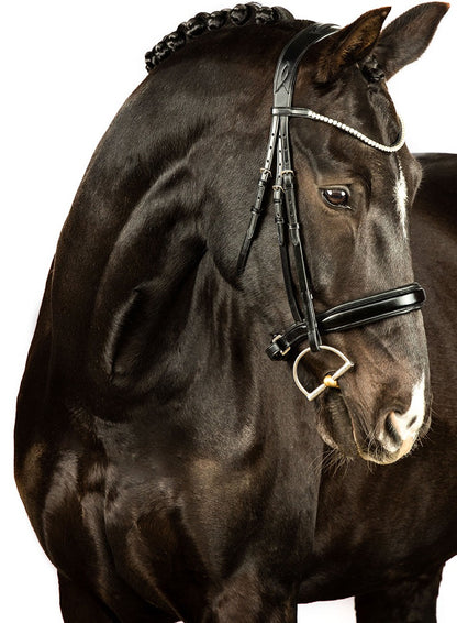 PONY PREMIUM ROLLED SNAFFLE BRIDLE - Discontinued Line