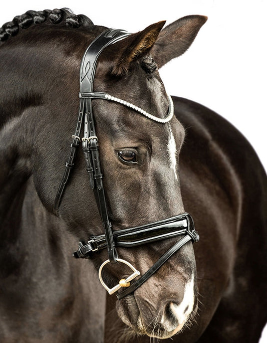 PERFECTION SNAFFLE - Discontinued Line